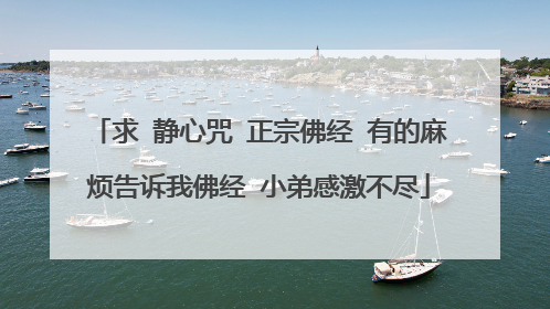 求 静心咒 正宗佛经 有的麻烦告诉我佛经 小弟感激不尽