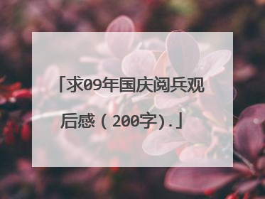 求09年国庆阅兵观后感（200字).