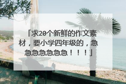 求20个新鲜的作文素材，要小学四年级的，急急急急急急急！！！