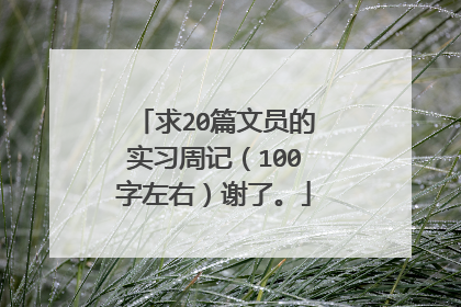 求20篇文员的实习周记(100字左右)谢了。