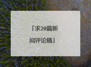 求20篇新闻评论稿