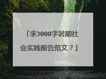 求3000字暑期社会实践报告范文?