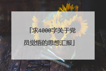 求4000字关于党员觉悟的思想汇报
