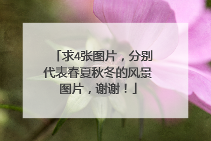 求4张图片,分别代表春夏秋冬的风景图片,谢谢!