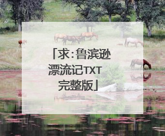 求:鲁滨逊漂流记TXT 完整版