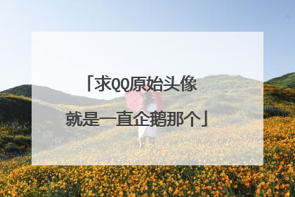 求QQ原始头像 就是一直企鹅那个
