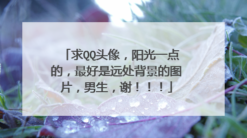 求QQ头像,阳光一点的,最好是远处背景的图片,男生,谢!!!