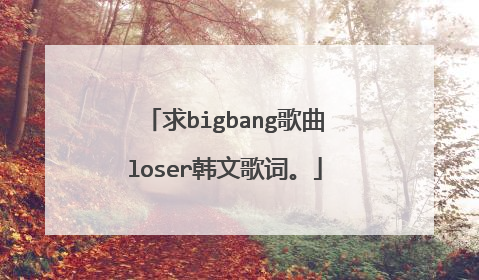 求bigbang歌曲loser韩文歌词。