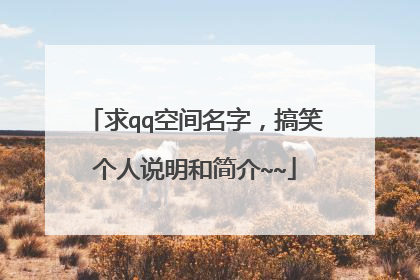 求qq空间名字,搞笑个人说明和简介~~