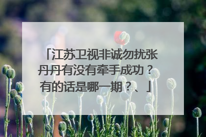 江苏卫视非诚勿扰张丹丹有没有牵手成功？有的话是哪一期？、
