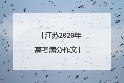 江苏2020年高考满分作文