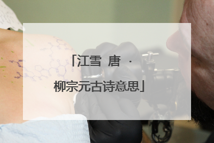 江雪 唐 · 柳宗元古诗意思