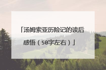 汤姆索亚历险记的读后感悟(50字左右)