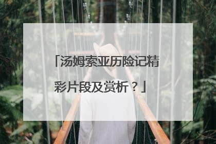 汤姆索亚历险记精彩片段及赏析？