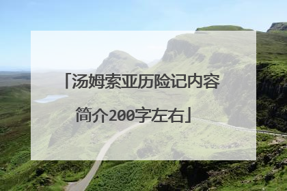 汤姆索亚历险记内容简介200字左右