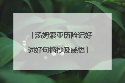 汤姆索亚历险记好词好句摘抄及感悟