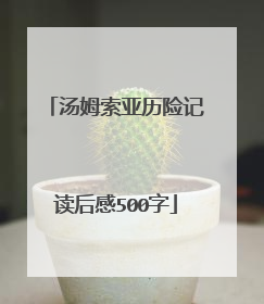 汤姆索亚历险记读后感500字