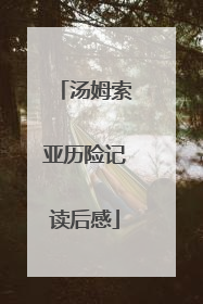 汤姆索亚历险记读后感