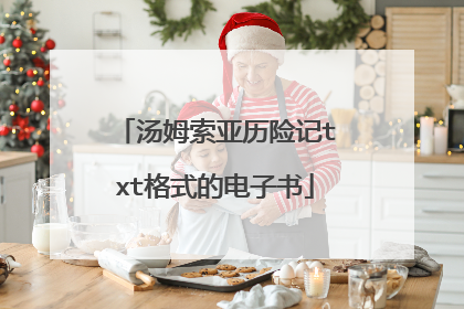 汤姆索亚历险记txt格式的电子书