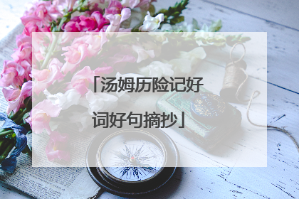 汤姆历险记好词好句摘抄