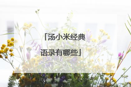 汤小米经典语录有哪些