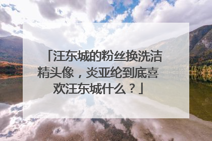 汪东城的粉丝换洗洁精头像，炎亚纶到底喜欢汪东城什么？