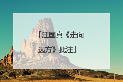 汪国真《走向远方》批注