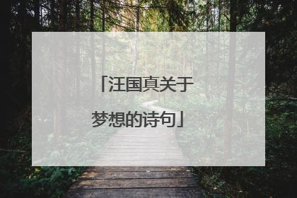 汪国真关于梦想的诗句
