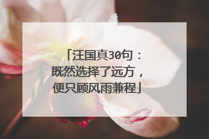 汪国真30句:既然选择了远方,便只顾风雨兼程