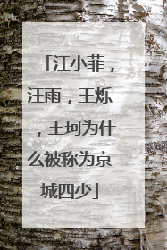 汪小菲，汪雨，王烁，王珂为什么被称为京城四少