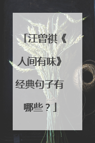 汪曾祺《人间有味》经典句子有哪些？