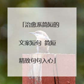 治愈系简短的文案短句 简短精致句句入心