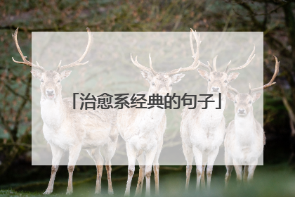 治愈系经典的句子