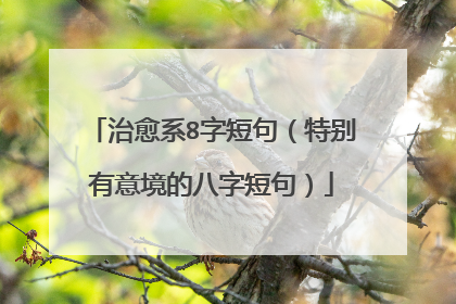 治愈系8字短句(特别有意境的八字短句)
