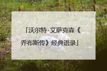 沃尔特·艾萨克森《乔布斯传》经典语录