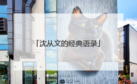 沈从文的经典语录