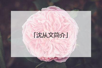沈从文简介