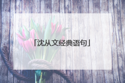 沈从文经典语句