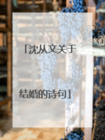 沈从文关于结婚的诗句