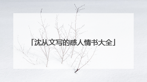 沈从文写的感人情书大全