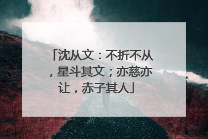 沈从文：不折不从，星斗其文；亦慈亦让，赤子其人