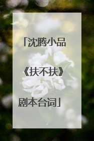沈腾小品《扶不扶》剧本台词