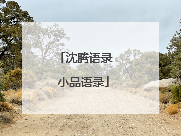 沈腾语录 小品语录