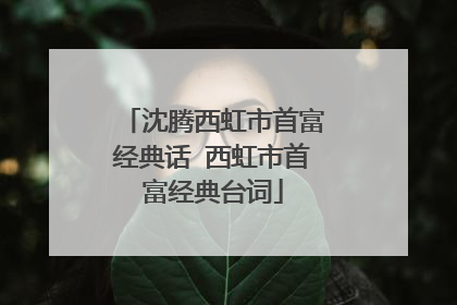 沈腾西虹市首富经典话 西虹市首富经典台词