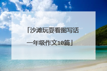 沙滩玩耍看图写话一年级作文10篇