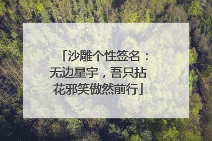 沙雕个性签名:无边星宇,吾只拈花邪笑傲然前行
