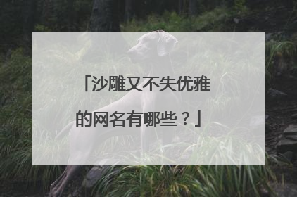 沙雕又不失优雅的网名有哪些?