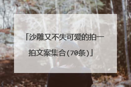 沙雕又不失可爱的拍一拍文案集合(70条)
