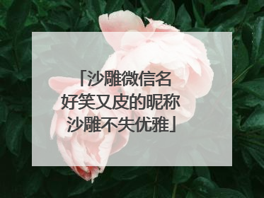 沙雕微信名 好笑又皮的昵称沙雕不失优雅