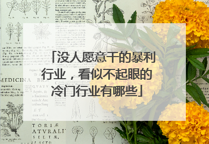 没人愿意干的暴利行业,看似不起眼的冷门行业有哪些